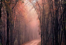 国乒天才被王楚钦球迷干扰,出局后教练劝他想开:往后十年都这样.