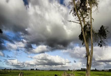 赏金船长(中国)官方网站:凱爾特人杯賽依然在爭奪中 將與四支潛力球隊角逐外卡資格.