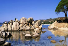 赏金船长(中国)官方网站：[乒乓球]亚洲杯小组赛第1轮：林高远VS黄彦诚 集锦.